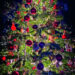 HT19Xmas_Dia Mirza-tree