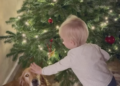 Inigo Middleton decorating a Christmas tree with his dog