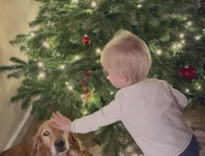 Inigo Middleton decorating a Christmas tree with his dog