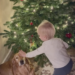 Inigo Middleton decorating a Christmas tree with his dog