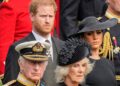 For the seventh year running, Prince Harry will reportedly again not spend time at Sandringham for Christmas with the rest of the royal family