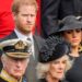 For the seventh year running, Prince Harry will reportedly again not spend time at Sandringham for Christmas with the rest of the royal family