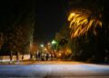 News media gather in a street in the dark. A streetlight illuminates a palm tree.