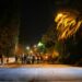 News media gather in a street in the dark. A streetlight illuminates a palm tree.
