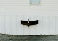 "Homesick" by Nicholas Shapiro Book Summary | Entertainment/Life