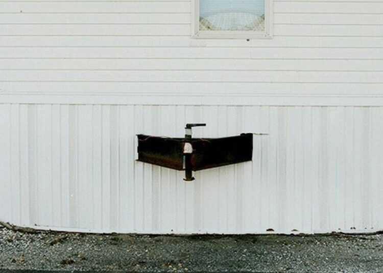 "Homesick" by Nicholas Shapiro Book Summary | Entertainment/Life