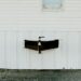 "Homesick" by Nicholas Shapiro Book Summary | Entertainment/Life