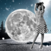 Horoscope for the New Moon in Sagittarius
