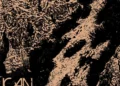 J Mascis, Remember Sports, Archy Marshall, more
