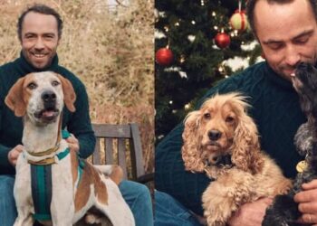 James Middleton explains why the royal family has such a deep bond with dogs