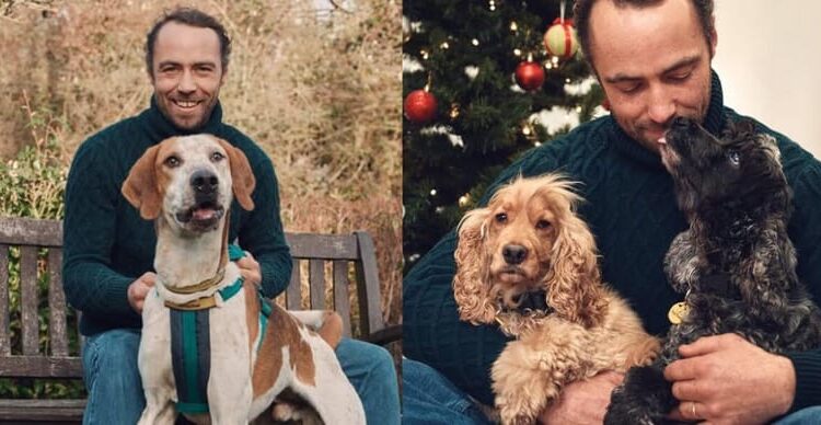 James Middleton explains why the royal family has such a deep bond with dogs