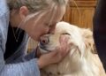 kate-gosselin-nanuq