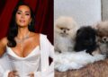 Valerie Macon / AFP;Kim Kardashia/Instagram Kim Kardashian; the puppies Kardashian gifted her kids for Christmas
