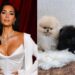 Valerie Macon / AFP;Kim Kardashia/Instagram Kim Kardashian; the puppies Kardashian gifted her kids for Christmas