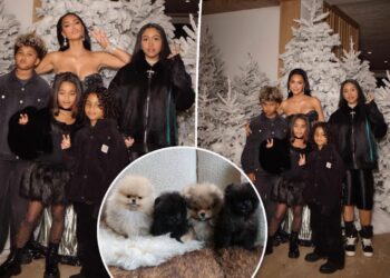 Kim Kardashian called out by PETA for gifting kids four dogs for Christmas: 'Puppies are not plushies'