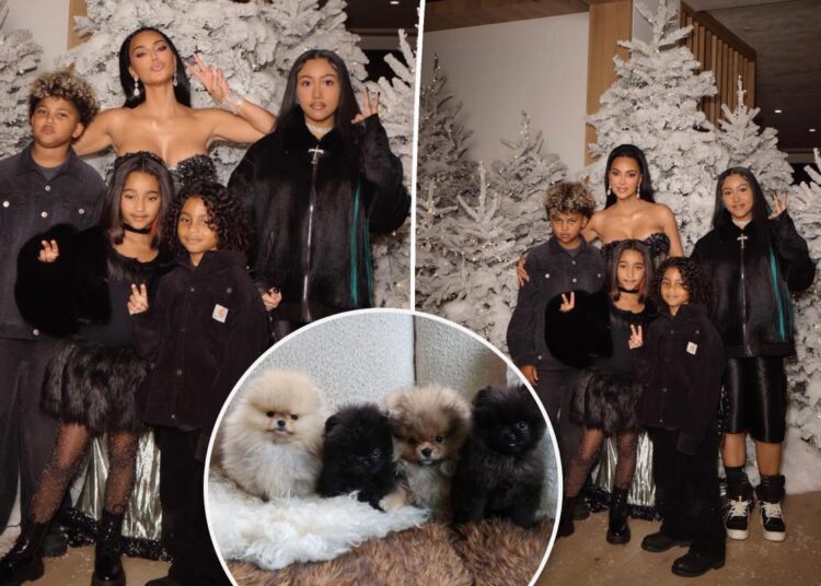 Kim Kardashian called out by PETA for gifting kids four dogs for Christmas: 'Puppies are not plushies'