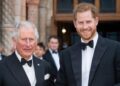 Prince Harry receives special treatment after King Charles meeting