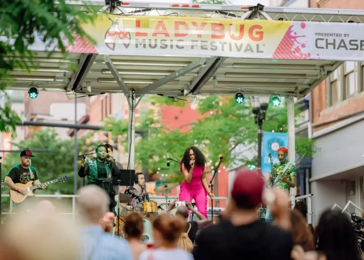 ladybugmusicfestivalcrowd