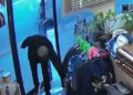 Surveillance camera captures man returning stolen mandolins.