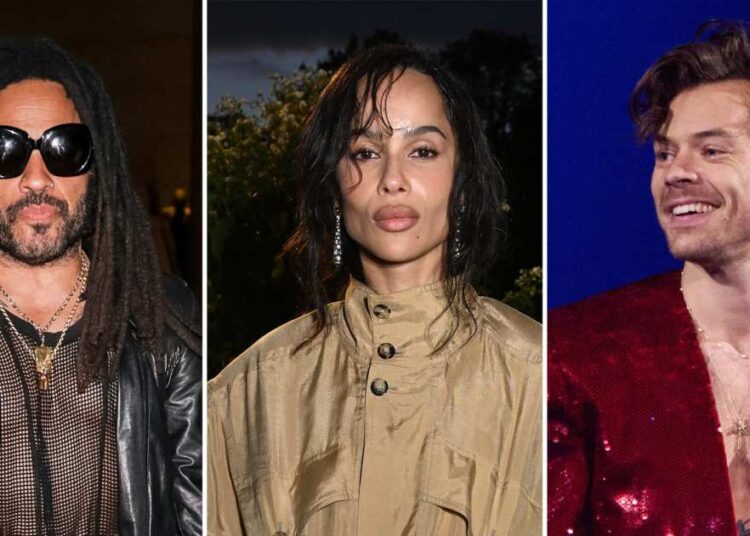 Lenny Kravitz Thinks Zoe, Harry Styles Are 'Great Match' (Excl)