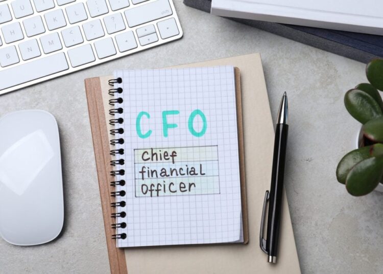 Lochlin Partners Assists the Entertainment Software Association with CFO Search