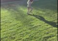 Princess Lilibet running through a field