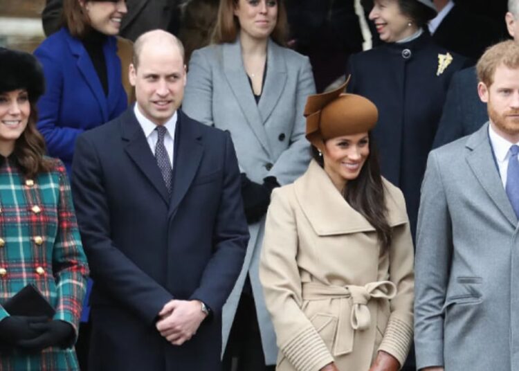 Meghan Markle makes soft comment about royal family
