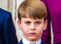 My Eyes Went to Prince Louis in New Kate Middleton Christmas Pic