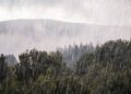 Organisation claims to control the weather and has huge 'links' to royal family | Weird | News