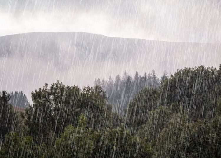 Organisation claims to control the weather and has huge 'links' to royal family | Weird | News