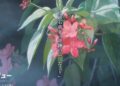 Peleliu: Guernica of Paradise Film Reveals Theme Song's Music Video With New Film Clips - News