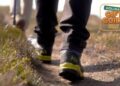 Outdoor gift guide content widget