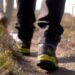 Outdoor gift guide content widget