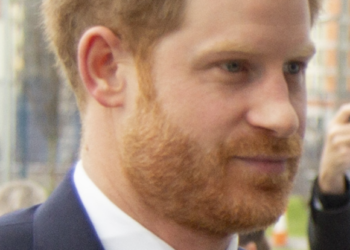 Prince Harry Targeted King Charles, Prince William…