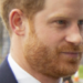 Prince Harry Targeted King Charles, Prince William…