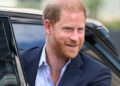 Prince Harry accused of using security battle to revive royal image
