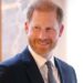 Prince Harry draws hilarious parallels between royal life & British TV series