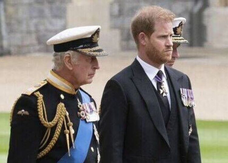 Prince Harry may have blown up hopes of Royal Family reconciliation with blunder - Celebrity News - Entertainment