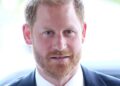 Prince Harry roasts royal life at British-American luncheon
