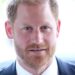 Prince Harry roasts royal life at British-American luncheon