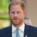 Prince Harry 'should have been friends with' this key royal