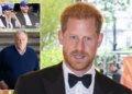 Prince Harry wins Govt review into demand for armed cops when he visits UK