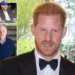 Prince Harry wins Govt review into demand for armed cops when he visits UK