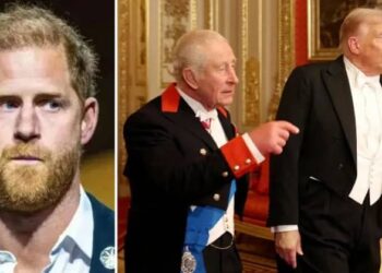 Prince Harry joked about Donald Trump on Stephen Colbert's late-night show.mega