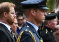 Prince Harry’s Response to Allegations He 'Stole' Brother’s Title — Report