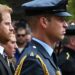 Prince Harry’s Response to Allegations He 'Stole' Brother’s Title — Report