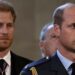 Prince William, Harry cousin turns down royal title at 18