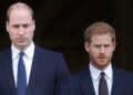 Prince William and Prince Harry Awkward World Cup Reunion