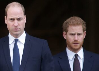 Prince William and Prince Harry Awkward World Cup Reunion