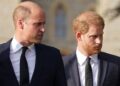 Prince William and Prince Harry 'set for awkward reunion next year' | Royal | News